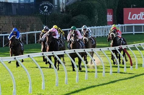 moir stakes field|Moir Stakes 2024 .